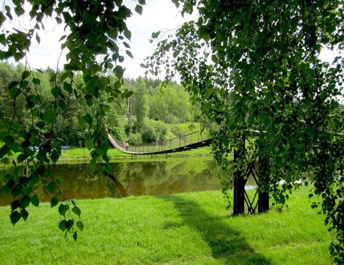 Услуги и спорт