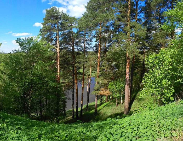 Внешний вид и территория - Санаторий «Дорохово»