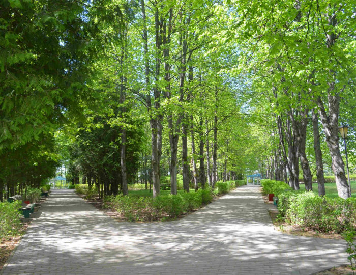 Внешний вид и территория - Санаторий «Дорохово»