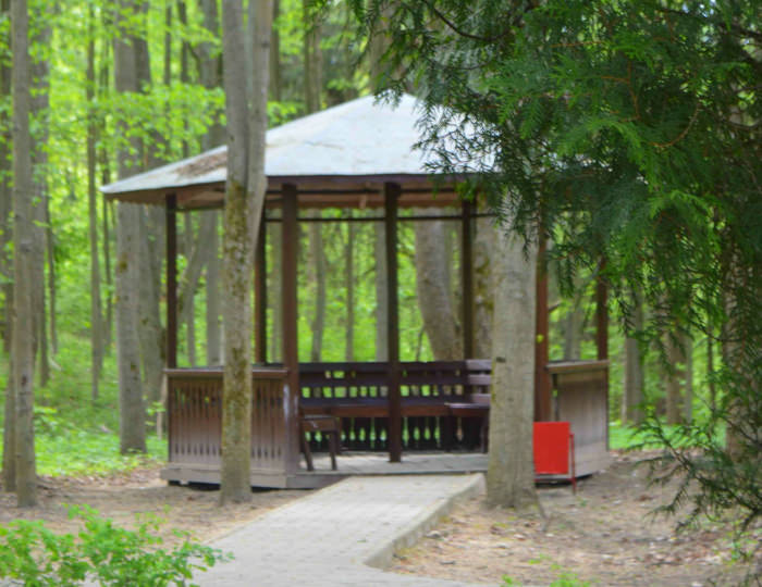 Беседки на территории санатория - Санаторий «Дорохово»